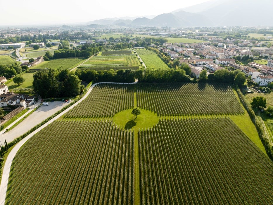 Cà Apollonio Heritage