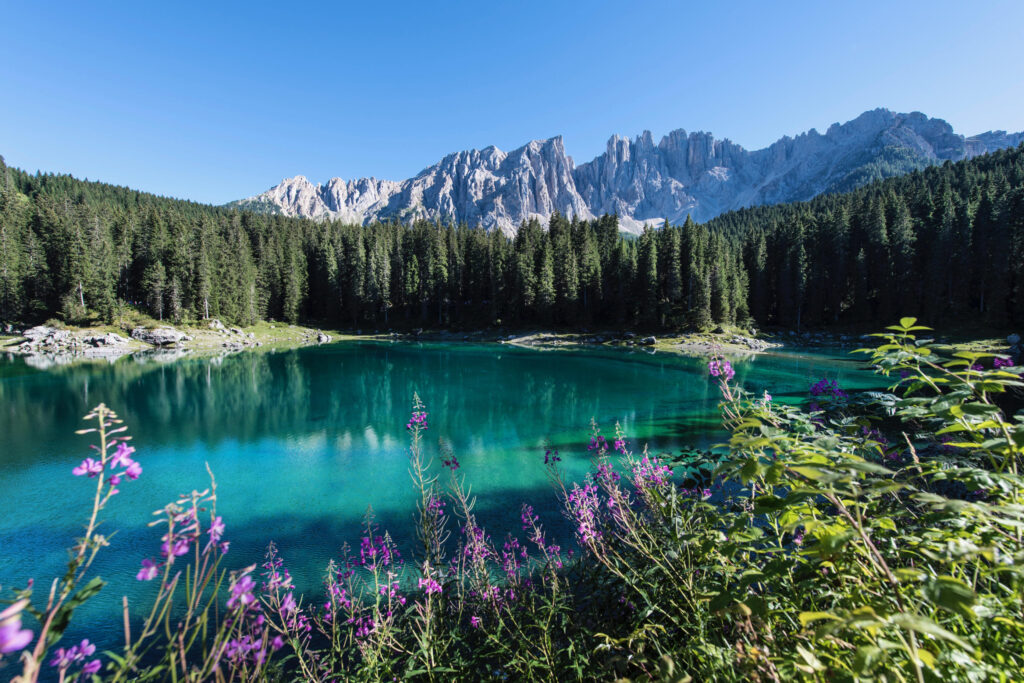 Hotel Sonnalp Obereggen Alto Adige
