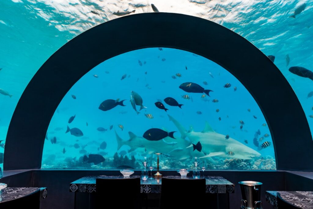 You&Me resort Maldive adults only