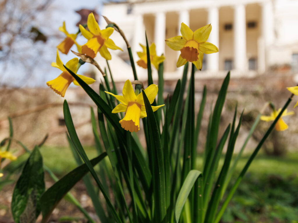 Villa Almerico-Capra La Rotonda Vicenza