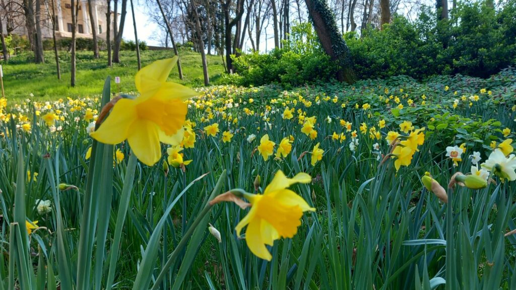 Villa Almerico-Capra La Rotonda Vicenza