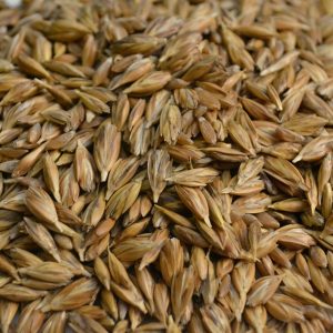 Insalata di farro, piatto veloce per l’estate