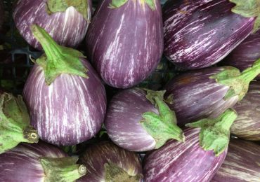melanzane