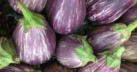 melanzane