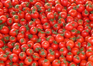 pomodori
