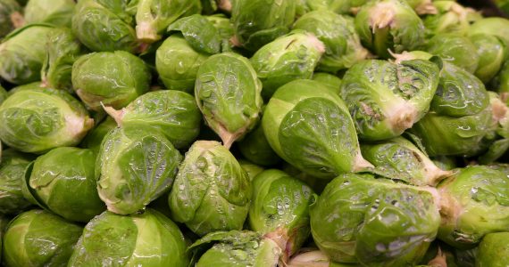 cavoletti di bruxelles