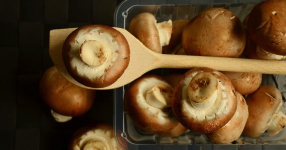 funghi