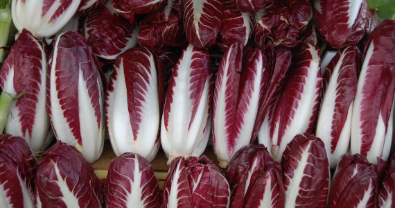 radicchio rosso