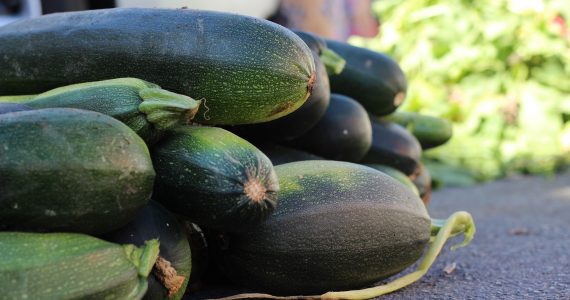 zucchine