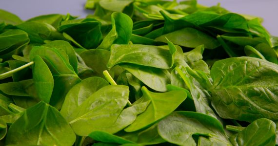 spinaci