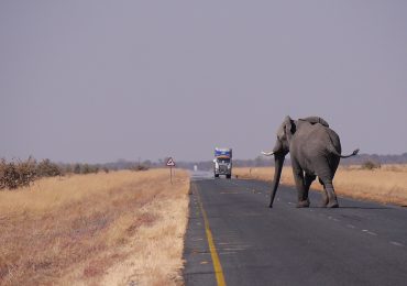 botswana