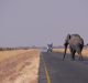 botswana