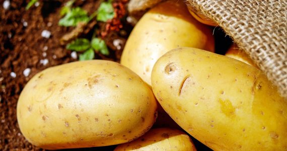 patate