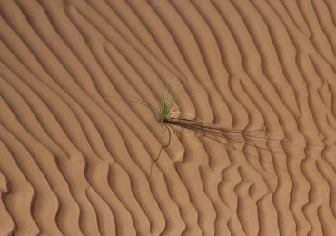 oman
