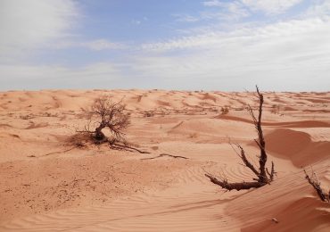 tunisia