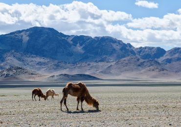 mongolia
