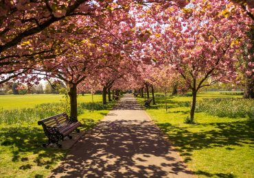 parco-londra