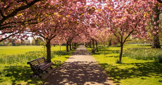parco-londra