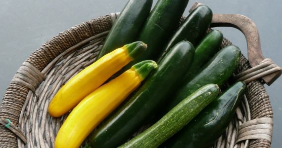 zucchine