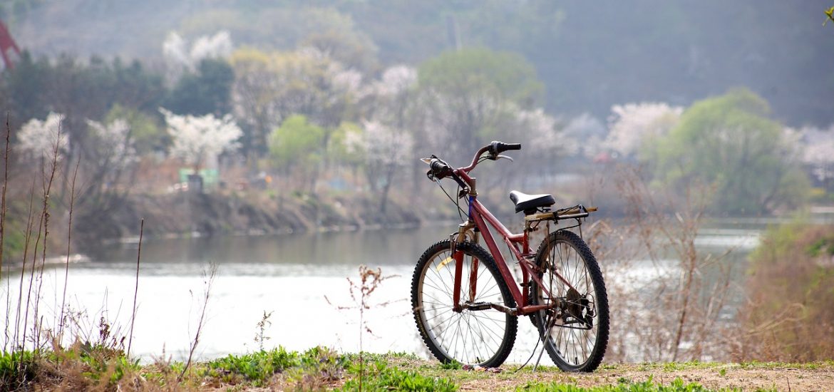 parco del delta po in bicicletta