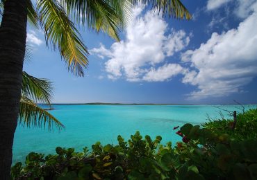 caraibi