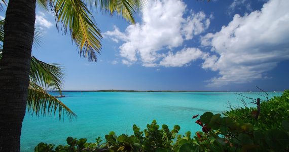 caraibi