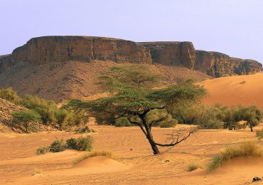 mauritania
