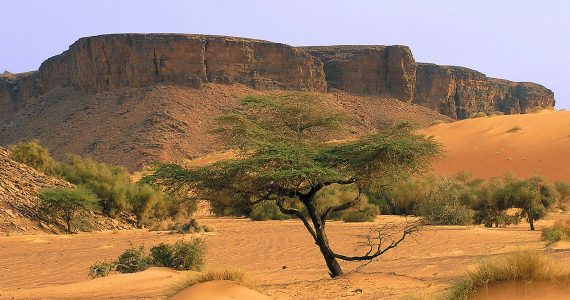 mauritania