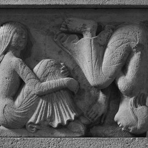 Il comune di Modena e le sue bellezze patrimonio UNESCO