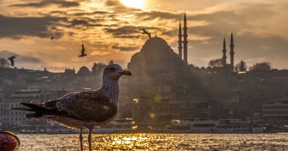 istanbul