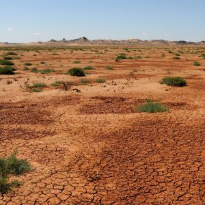 Gobi March, un viaggio avventura, una corsa nel deserto dai mille panorami diversi
