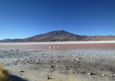 viaggio cile bolivia