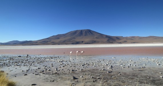 viaggio cile bolivia