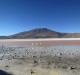 viaggio cile bolivia