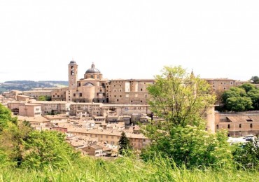 urbino