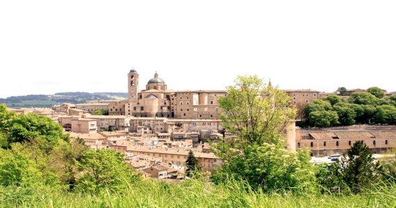 urbino