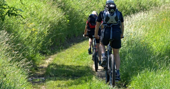 ciclisti