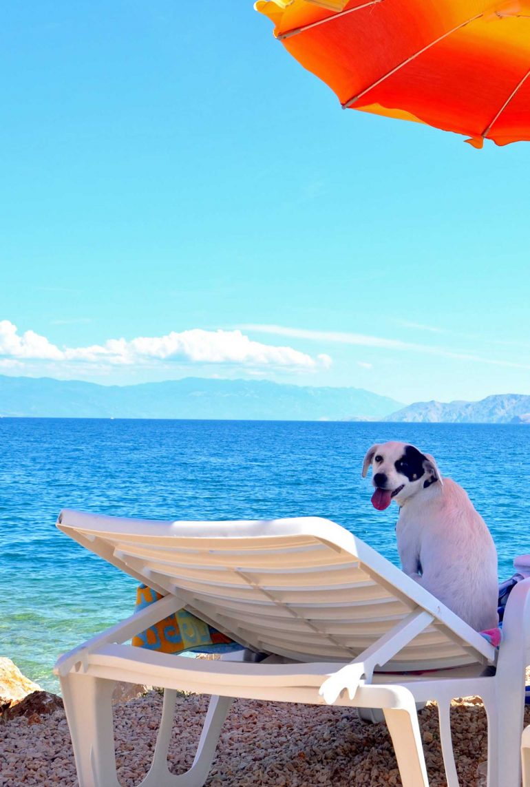Crikvenica Monty's dog beach and bar