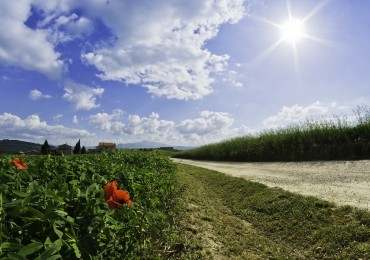 roads