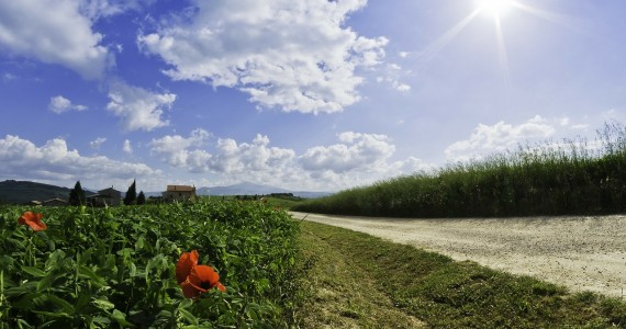 roads