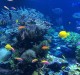 underwater