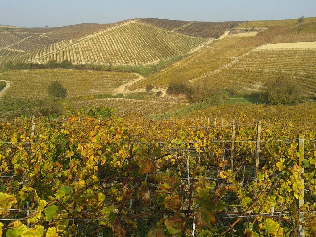 langhe autunno
