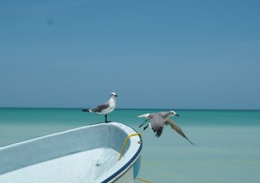 holbox