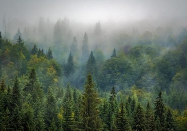 transilvania