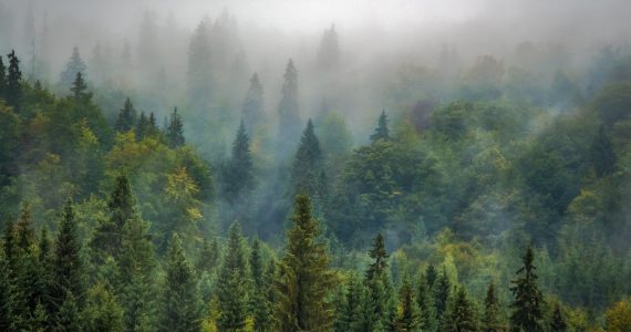 transilvania