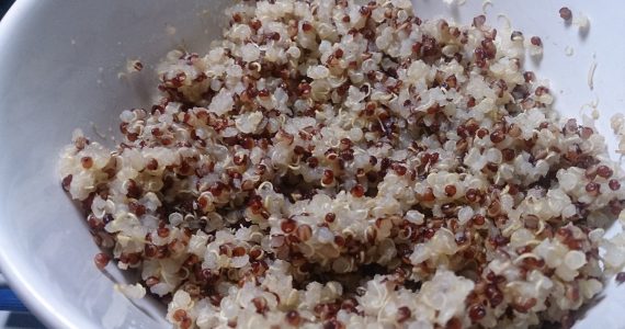 Cavolfiore arrosto con quinoa e crema di ceci