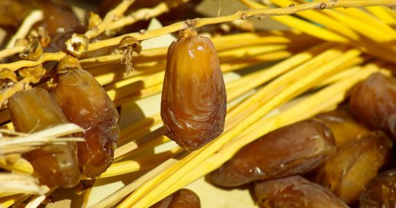 Biscottini ai datteri, pistacchio e cocco.