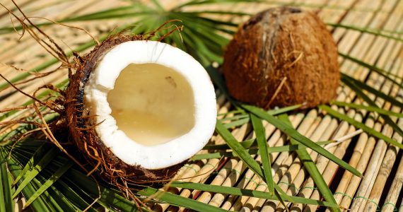 cocco