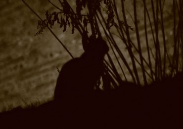veneto-del-mistero