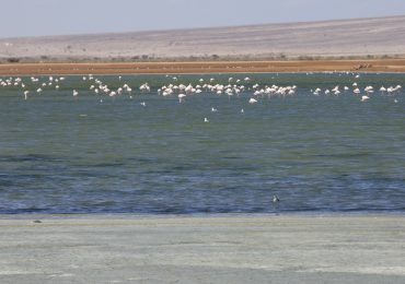 eilat-israele